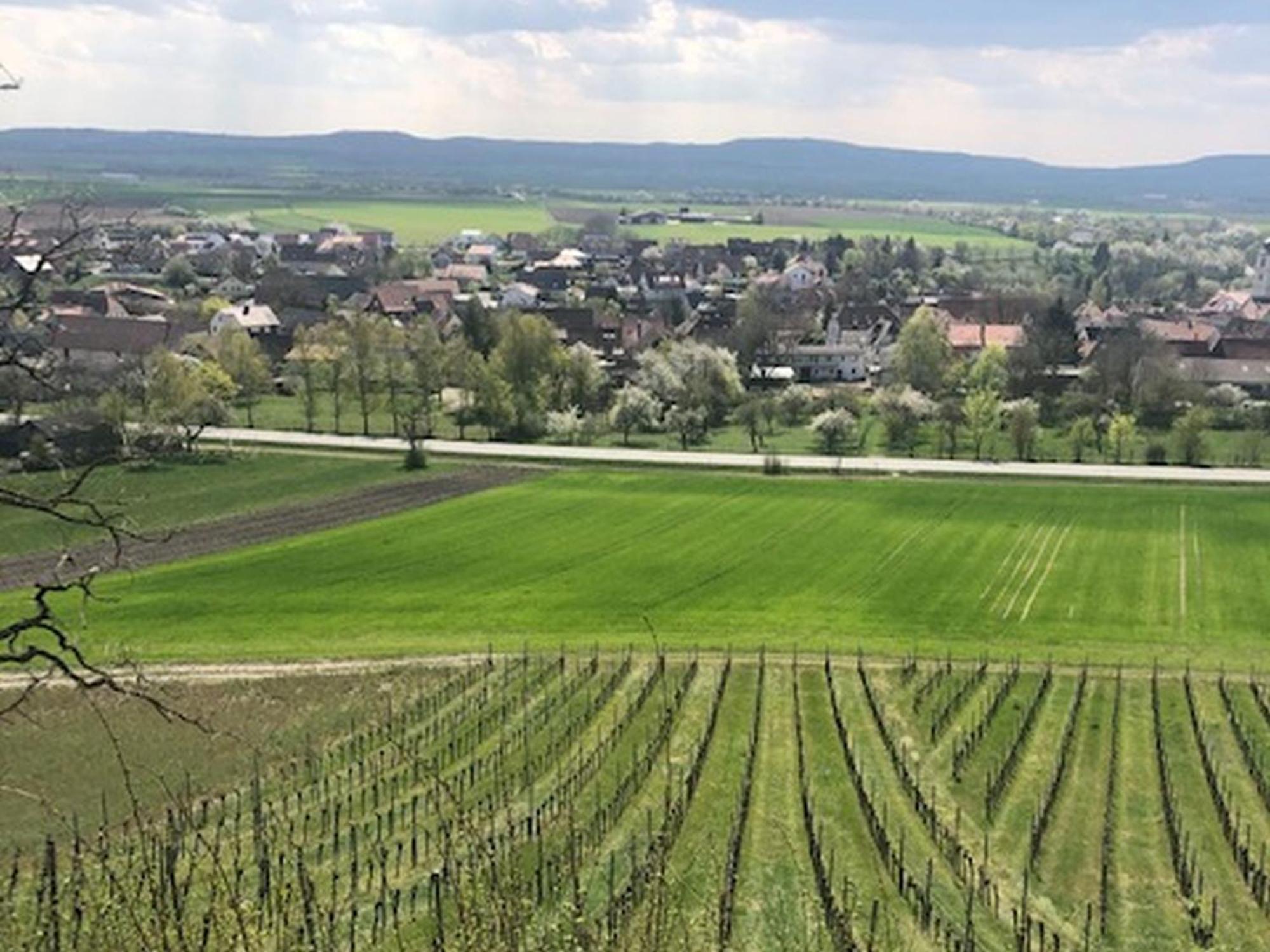 Ferienwohnung Weinberg Markt Einersheim Zewnętrze zdjęcie